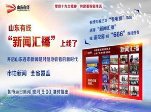 山东爆料最新新闻消息,揭秘重大事件背后真相  第3张