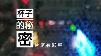 无锡酒店爆料视频最新版,惊人内幕曝光！